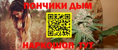 Альфа ПВП Обь