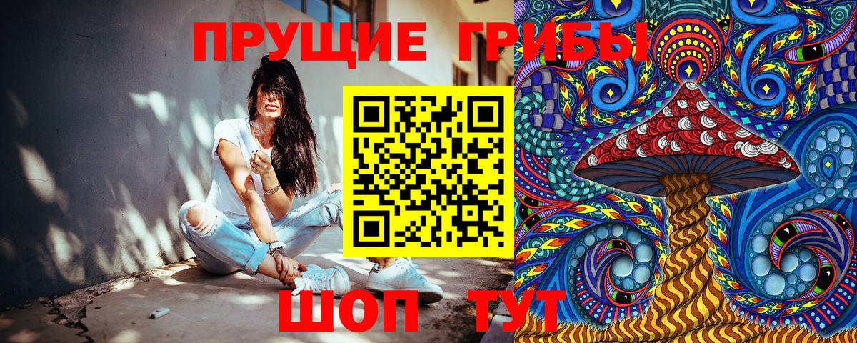 Галлюциногенные грибы Magic Shrooms  Вход с VPN  закладки  Новочебоксарск  Псилоцибиновые грибы мицелий 